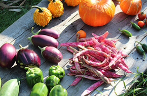 237a1c55 side bar 2.jpg